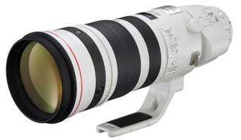 EF 200-400mm f/4L IS USM Extender 1.4X super telephoto lens